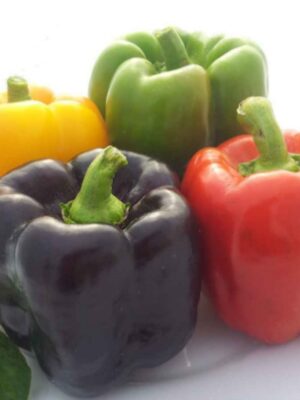 bulk sweet pepper seeds wholesale