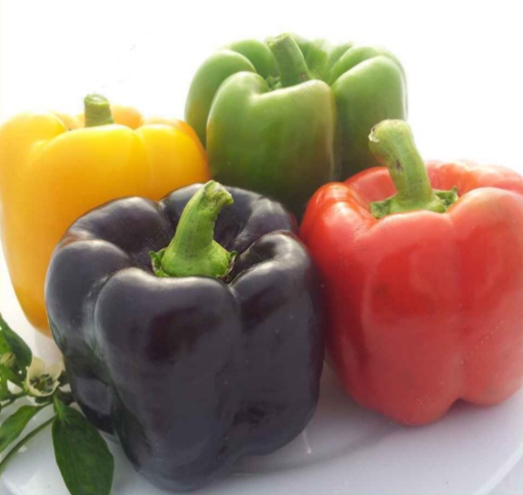 bulk sweet pepper seeds wholesale