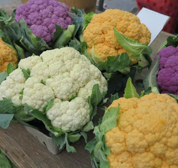 organic broccoli seeds