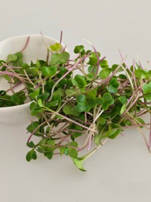 Chinese Broccoli (Kailaan) Microgreen Seeds